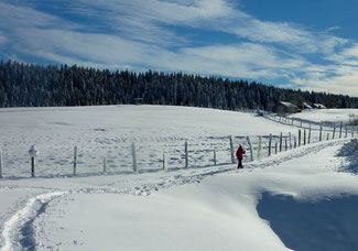 Crédit photo : O.T. Haut-Jura Saint-Claude