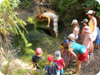 Firmenevent Naturführung Rügen