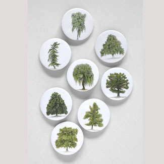 Wald und Wiese Ausmalbilder für Erwachsene sind eine wunderbareFreizeitbeschäftigung um sich mit dem Thema Zeichnen der heimischen Flora und Fauna zu beschäftigen. Von einfach bis aufwendig ist für jeden etwas dabei. Motive wie Schmetterling...