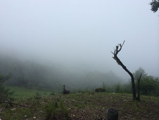 裸山からの眺望。こちらも何も見えない。