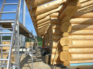 Blockhausbau - Naturstammhaus - Baumstammhaus - Baustelle - Holzhütte - Handarbeit - Holzbau - Hausbau - Handwerk
