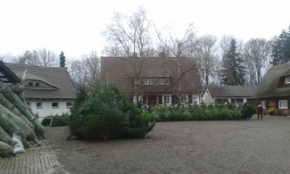 Weihnachtsbäume Goslar Bauernhof