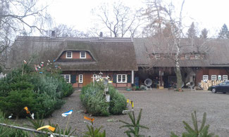 Weihnachtsbäume Goslar Bauernhof