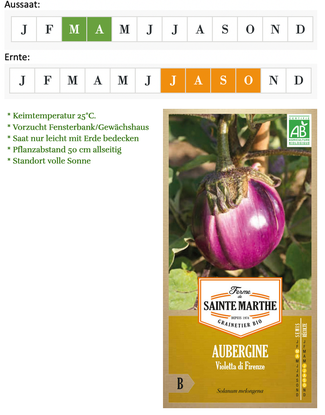 Aubergine "Violetta di Firenze" von Ferme de Saint Marie bei www.the-golden-rabbit.de