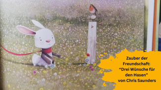 Drei Wünsche für den Hasen von Chris Saunders