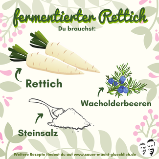 Rettich fermentieren - Probiotika für den Winter