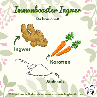 Immunbooster Ingwer - Power für dein Immunsystem