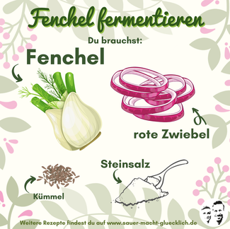Fenchel, Fenchel, Fenchel ... fermentiert - Ewig frisch!