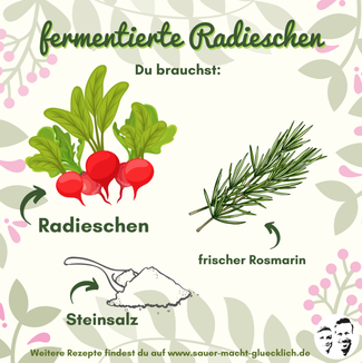 Knackige Radieschen fermentieren - Ein einzigartiger Snack für den Sommer