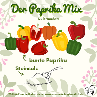 Bunter Paprika Mix - fermentieren in 5 Minuten