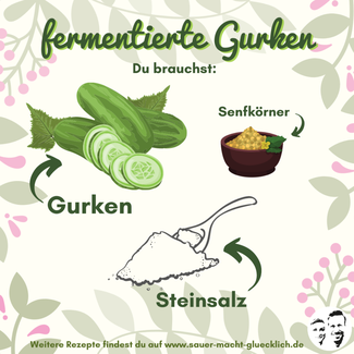 Schnelle Einlegegurken - Leckere Minigurken