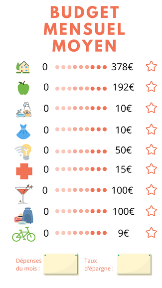 Budget mensuel moyen par poste d'achat