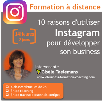 Formation à distance Instagram Gisèle Taelemans