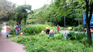 　　　　　　　７月７日の作業風景