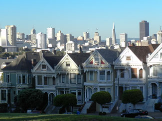 Die "Painted Ladies"