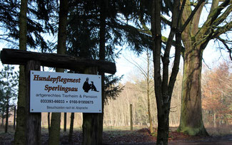 Hundepflegenest Sperlingsau