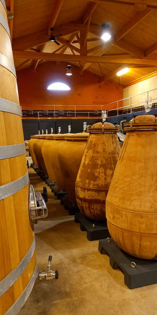 wine-tourism-cote-roannaise-visit-winery-domaine-serol-renaison
