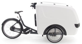 Babboe Lastenfahrrad mit Elektromotor Pro Trike-E 2020