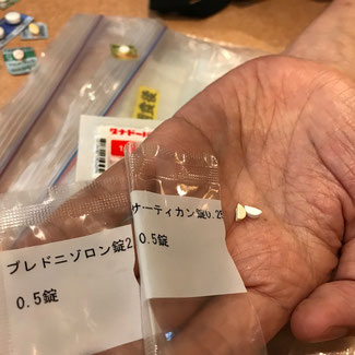 免疫抑制剤 サーティカン プレドニゾロン