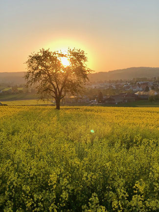 Bild eve-on