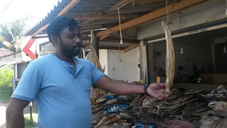 Raju auf dem Vegetable Market in Dambulla, auf seiner Tour durch Sri Lanka