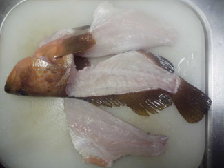 カサゴ アコウの釣り人料理 釣り アウトドア カサゴ アコウの釣り人料理 釣り アウトドア