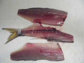 コノシロとカブの酢の物 なます 釣り アウトドア