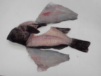 メバルの釣り人料理 釣り アウトドア メバルの釣り人料理 釣り アウトドア