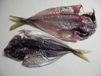 魚の干物の作り方 釣り アウトドア