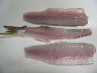 カマス料理 釣り アウトドア カマス料理 釣り アウトドア