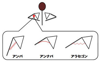 アンナバン アラセゴン 体の精度を上げる 整体スタジオ