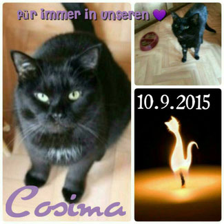 Cosima R.i.P. 10.9.2015