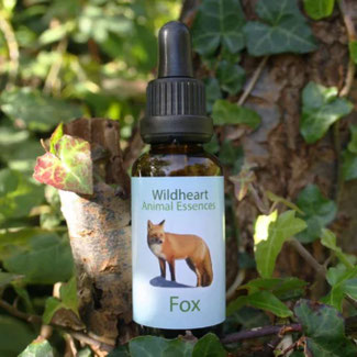 30ml - CHF 36.00