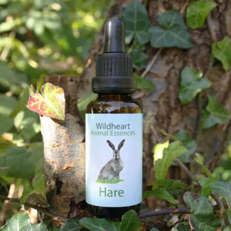 30ml - CHF 28.00