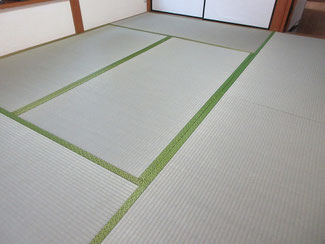 八王子市石川町　畳交換　シロアリ被害
