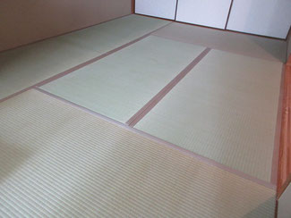 日野市 畳 国産畳 ふすま 猫のいる生活