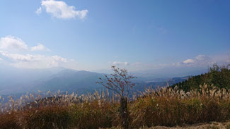 右から富士山。枝越しにうっすらと先週行った越前岳（愛鷹山）。手前のボッコリが今年夏行った矢倉岳、右（雲）が金時山