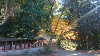 白岩寺