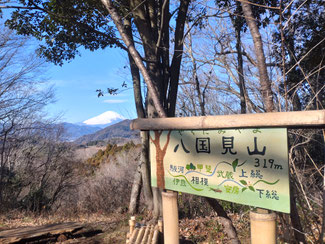 渋沢丘陵の最高峰、八国見山。標高319m。