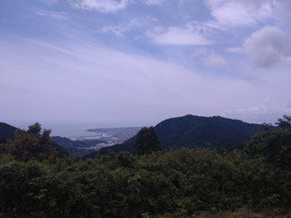 高草山越しに焼津港