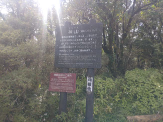 眺望効かず。神山山頂