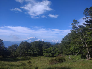 山頂から