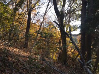 山の息吹が聞こえてきそうな静寂さ