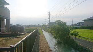 水路に張り出すように張り出す草