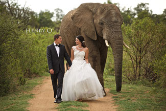 Heiraten in Kapstadt
