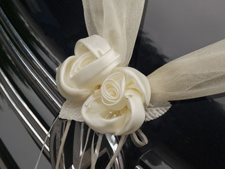 Bänder und Rosen