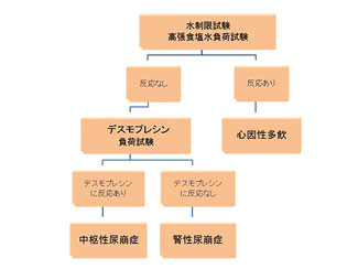 尿崩症の診断と治療/長谷川動物病院