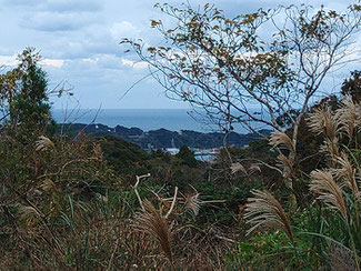 勝浦市高級別荘用地