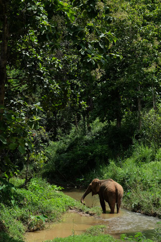 Nord Laos - Luang Prabang