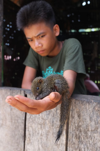 Sud Phongsaly - Portraits